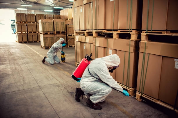 Best Pest Removal Services  in Damascus, OR