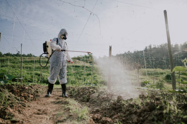 Best Best Pest Control Companies  in Damascus, OR