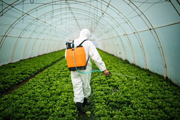 Best Residential Pest Control  in Damascus, OR