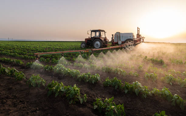 Best Mosquito Control Services  in Damascus, OR