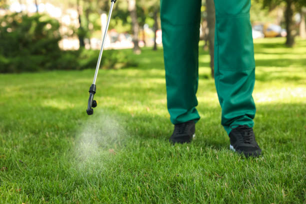 Best Pest Prevention Services  in Damascus, OR