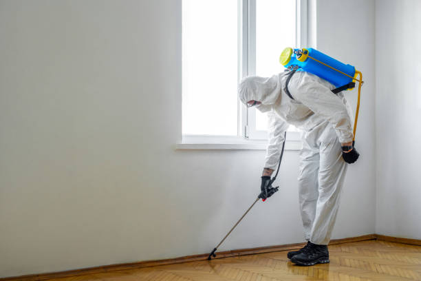 Best Emergency Pest Control  in Damascus, OR
