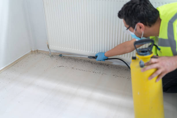 Best Rat Extermination Near Me  in Damascus, OR