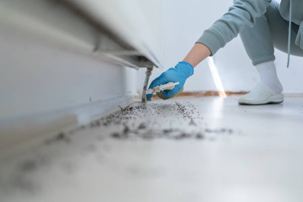 Best Wasp Removal Services  in Damascus, OR