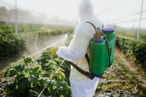 Best Mosquito Control Services  in Damascus, OR